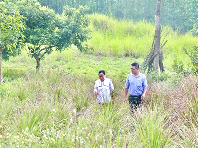 Tài chính vi mô Thanh Hoá - Điểm thu hút vốn đầu tư nước ngoài